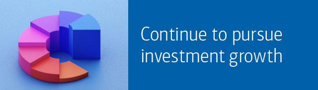 Continue to pursue investment growth